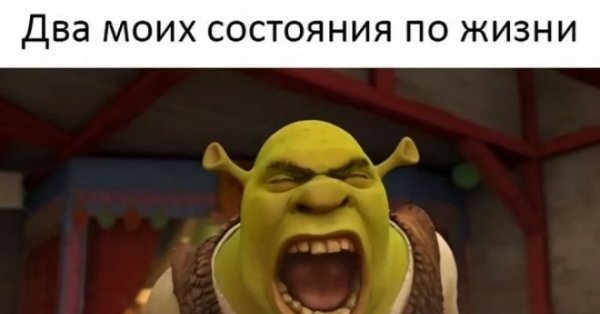 Хороший вопрос Шрек