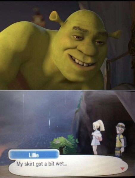 Хороший вопрос Шрек