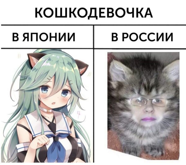 Топ аниме мемов