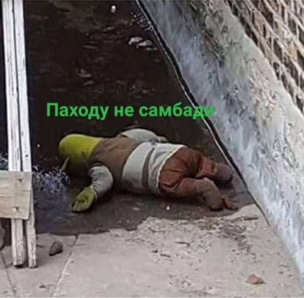 Походу не Самбади Мем Шрек