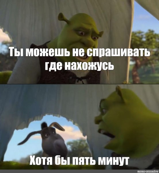Шрек Мем ты можешь хотя бы 5 минут