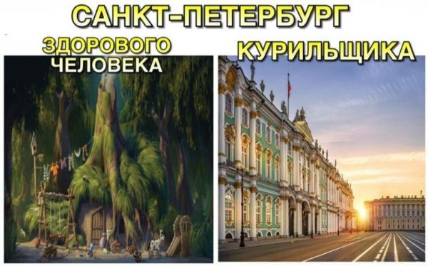 Про шрека и питер