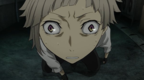 Бродячие псы Атсуши тигр