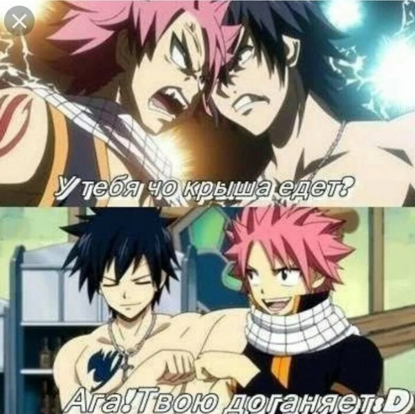 Фейри Тейл мемы