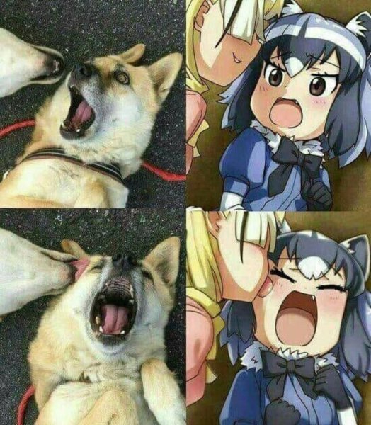Кусь Мем аниме
