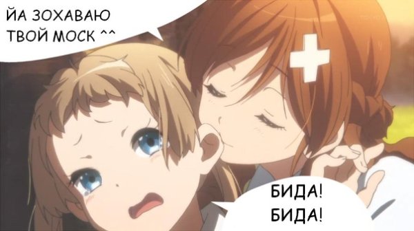 Ой бида бида