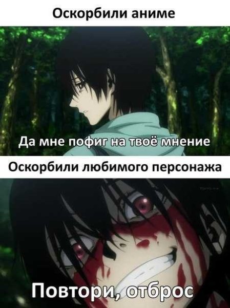 Оскорбление анимешников