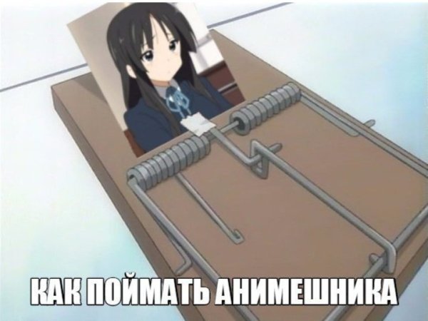 Мемы против анимешников