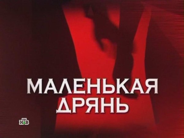 Следствие вели маленькая дрянь