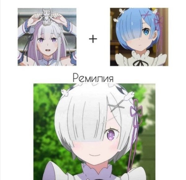 Ре Зеро мемы про рем