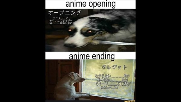 Эндинги мемы