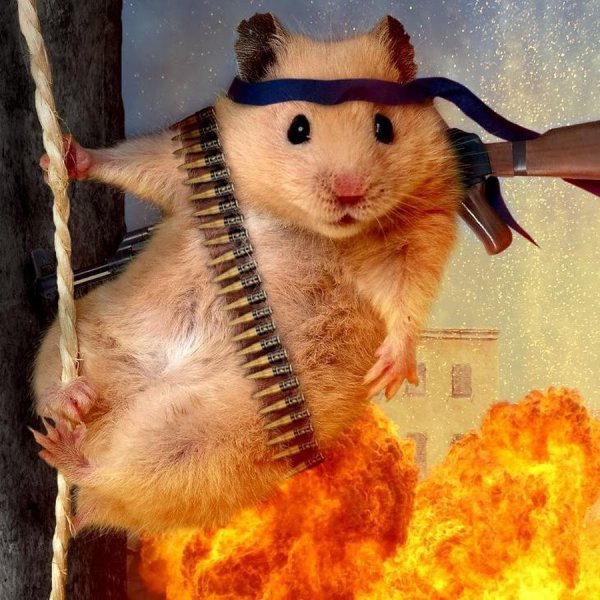 Лютый хомяк