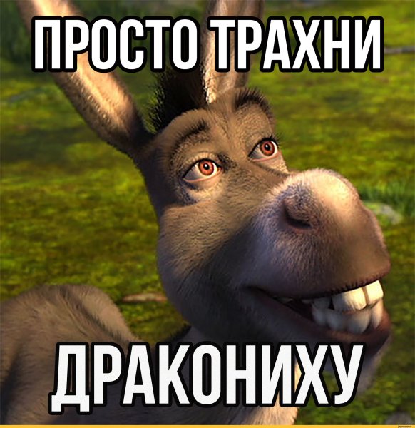 Мемы с ослом