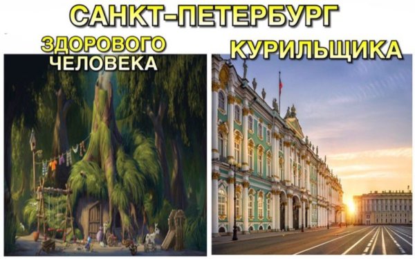 Петр первый Шрек Мем