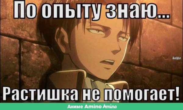 Аниме мемы атака титанов Леви