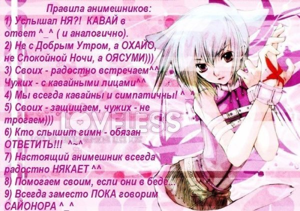 Словарь АНИМЕШНИКА