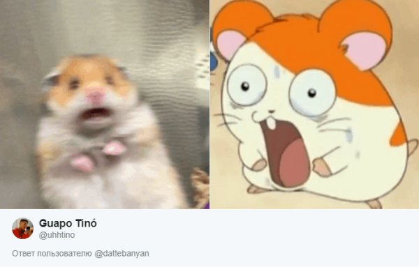 Испуганный хомяк