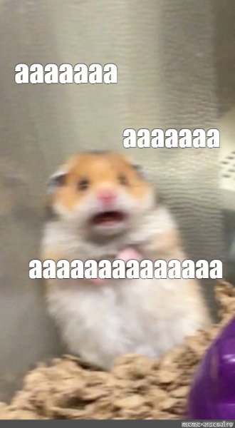 Испуганный хомяк