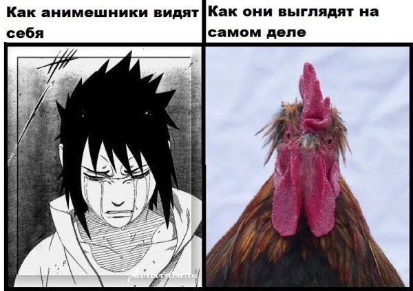 Шутки над анимешниками