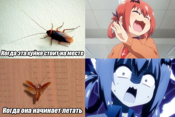 Анимешники зеленая ленточка