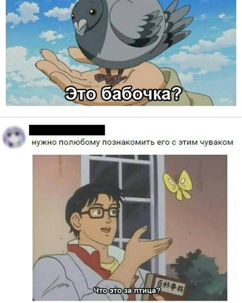 Мем с бабочкой