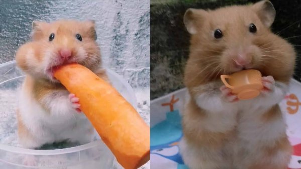 Хопям и банан