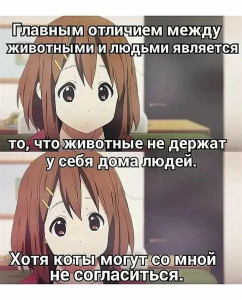 Санеми мемы