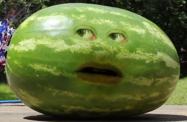 Мемы про Арбуз