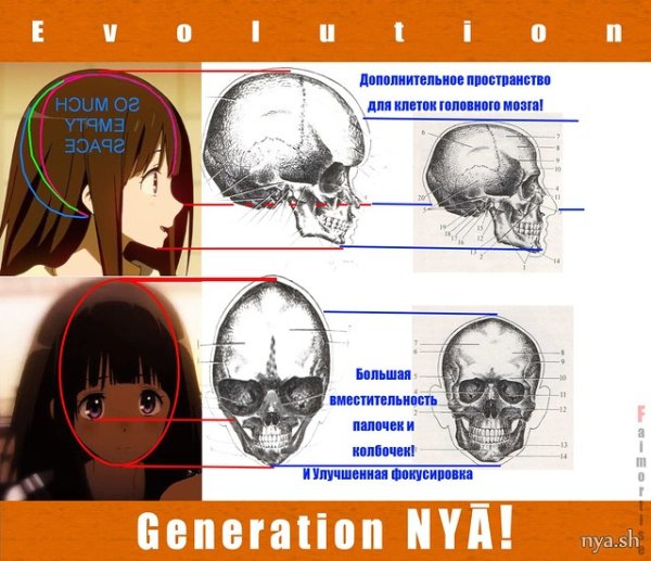 Строение головы аниме