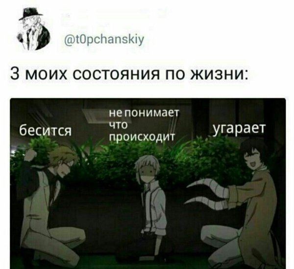 Великий из бродячих псов приколы