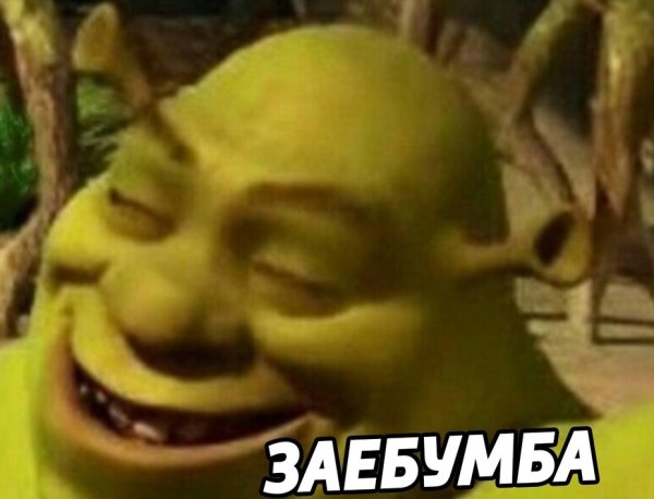 Шрек в болоте заебумба