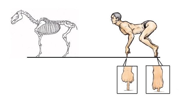 Позвоночник Мем