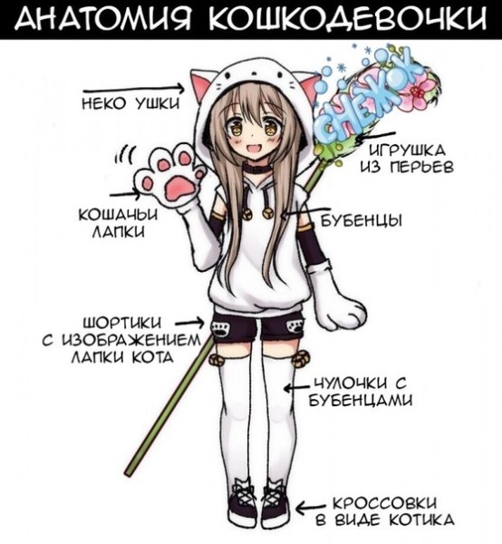 Кошкодевочки генная инженерия