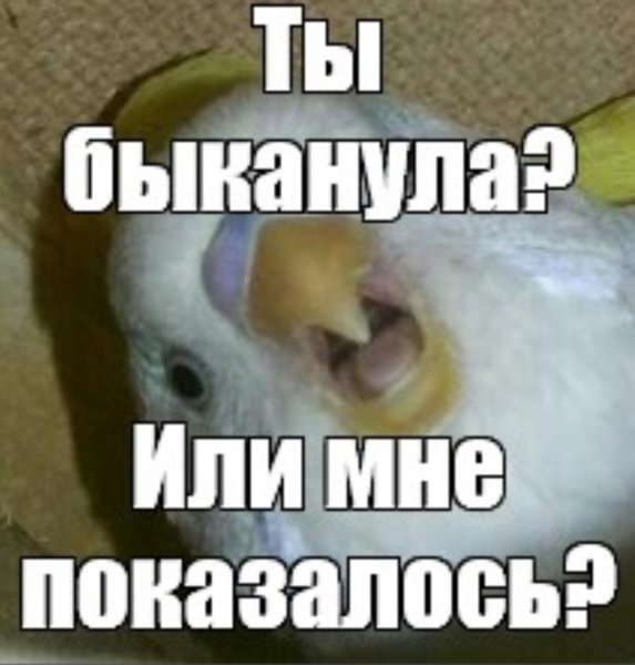 Мемы ты БЫКАНУЛ
