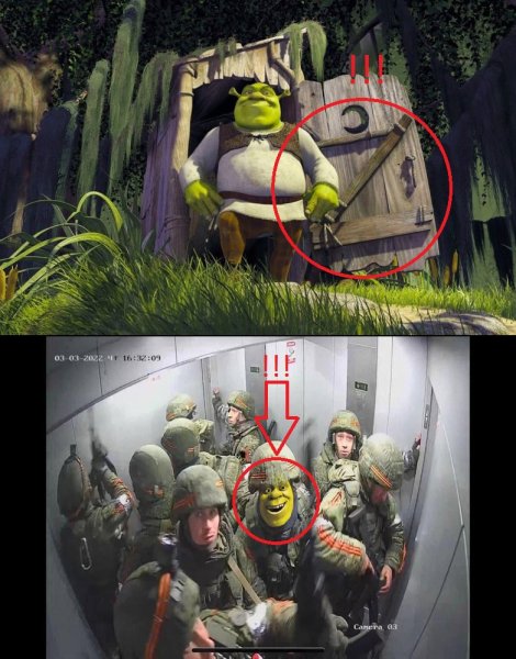 Шрек в болоте