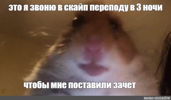Хомяк Мем