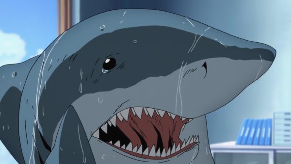 Аниме акула