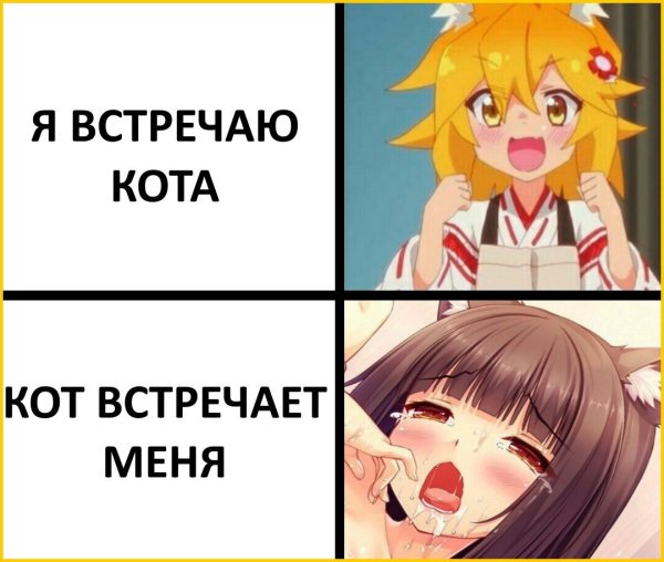 Аниме Мем