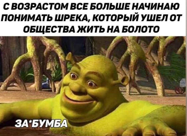Шрек это мое болото