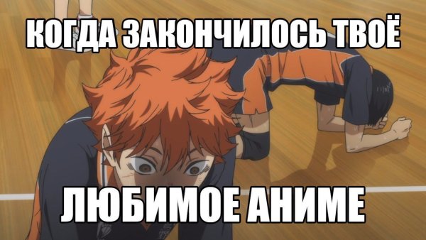 Я анимешник