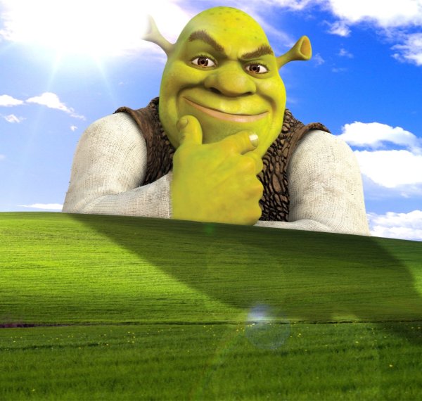 Спасибо за внимание Шрек
