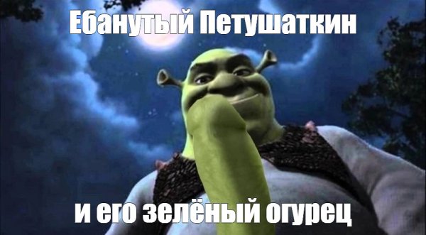 Спасибо за внимание Мем Шрек с сердечками