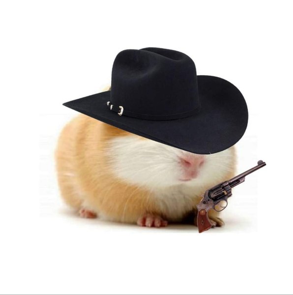 Хомяк гангстер
