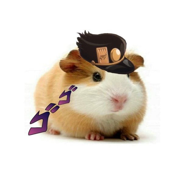 Морская Свинка Джоджо