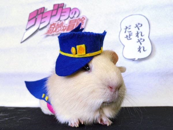 Капибара Джотаро