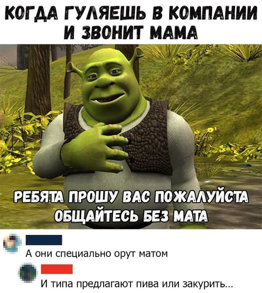 Общайтесь без мата Мем