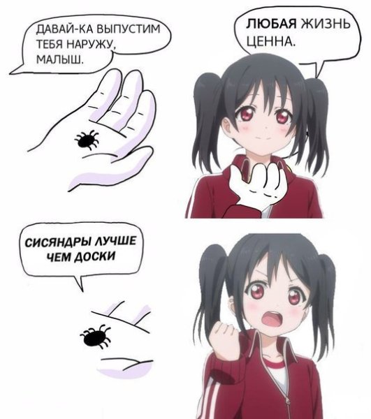 Мемы про досок