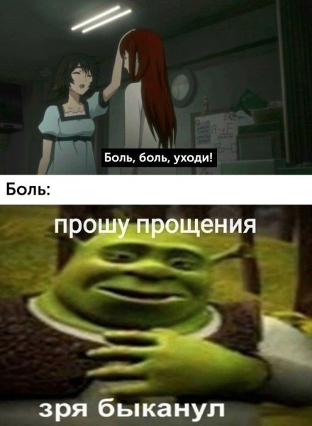 Прошу прощения Мем