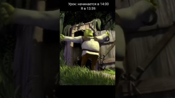 Шрек на унитазе