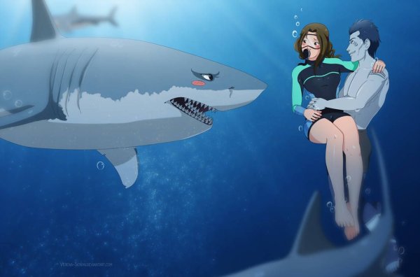 Акула обнимашки